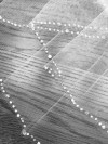Communion Veil with Delicate Sparkle Bead & P